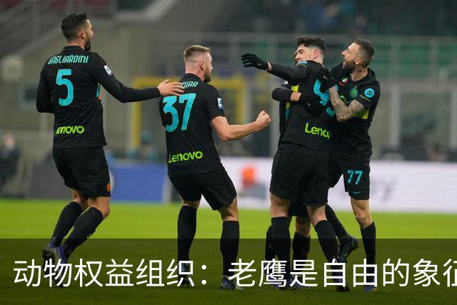 动物权益组织：老鹰是自由的象征，不是水晶宫取悦球迷的道具